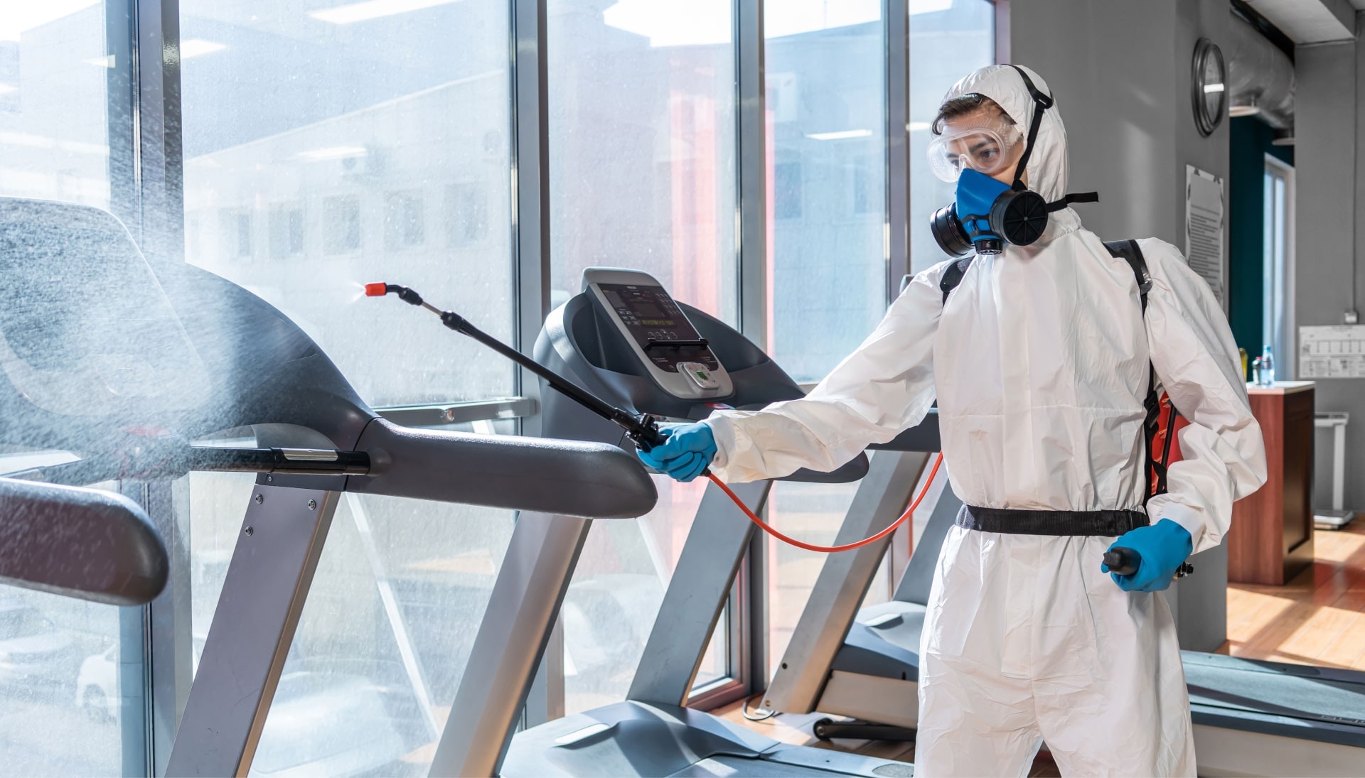 Commercial Mold Removal Services in Bloomington
