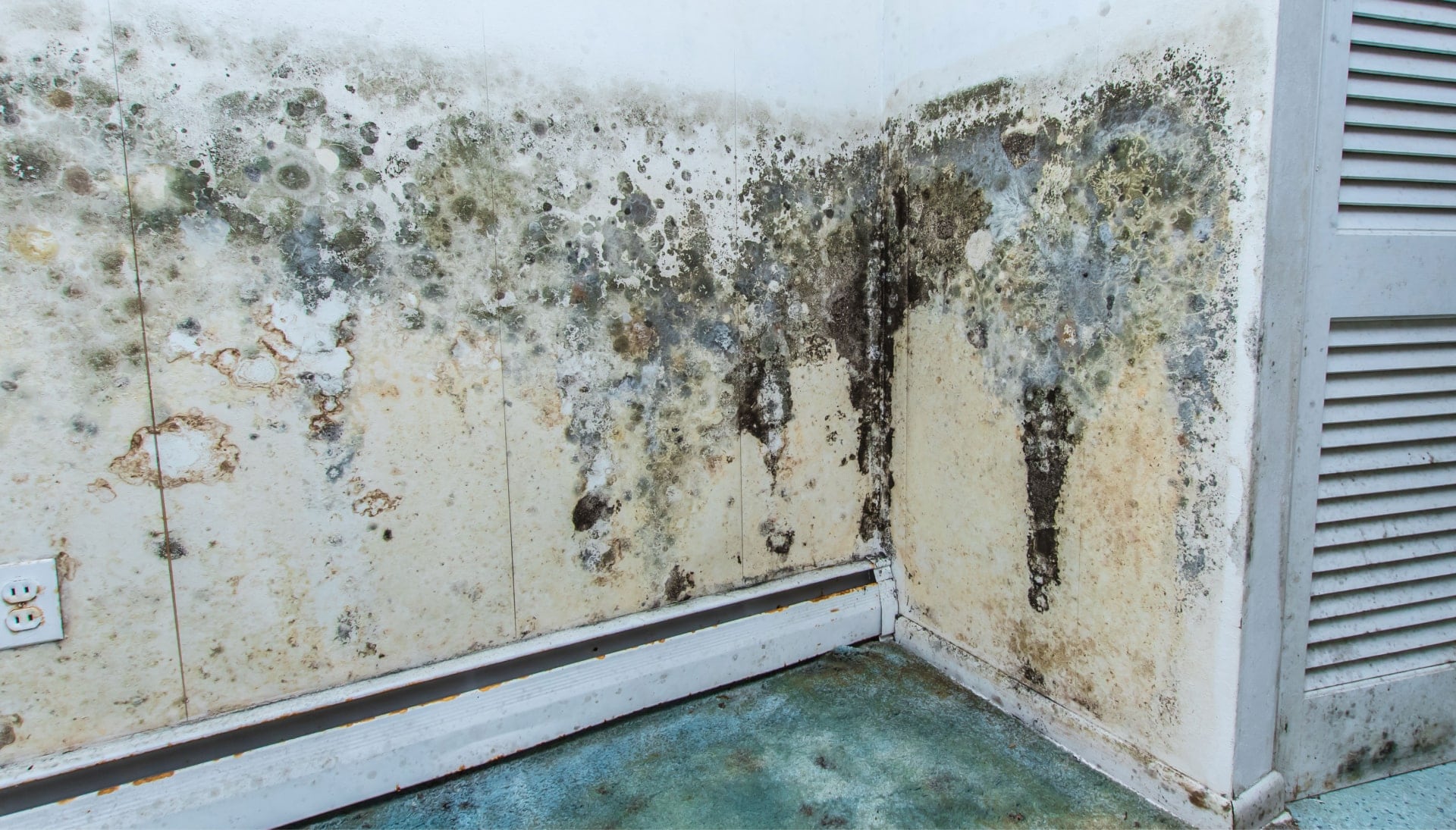 Mold Damage Odor Control Services in Bloomington