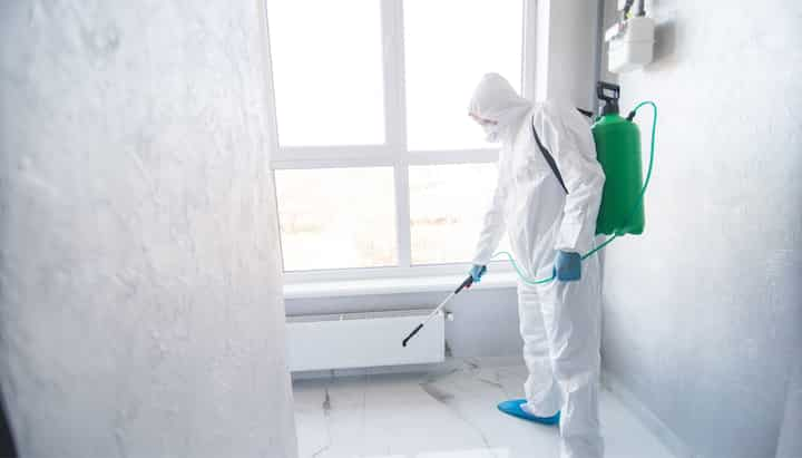 Mold Inspection Services in Bloomington